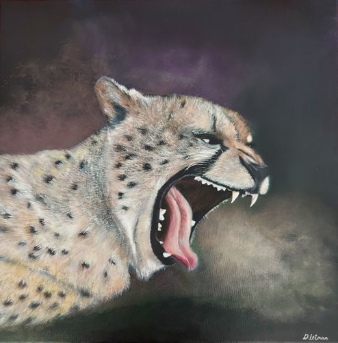 Tired Cheetah - 6000 kr.